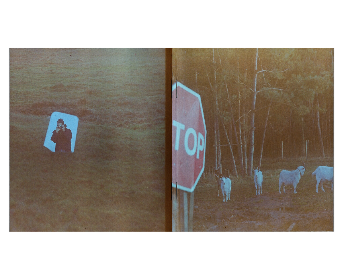 My Love-Hate Relationship With Expired Film