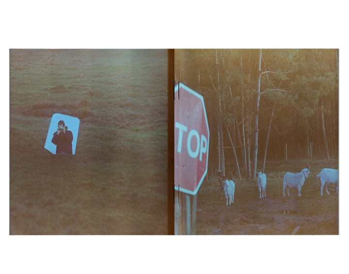 My Love-Hate Relationship With Expired Film